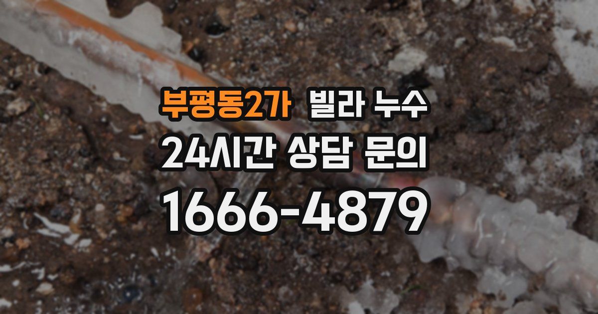 부평동2가 빌라 누수
