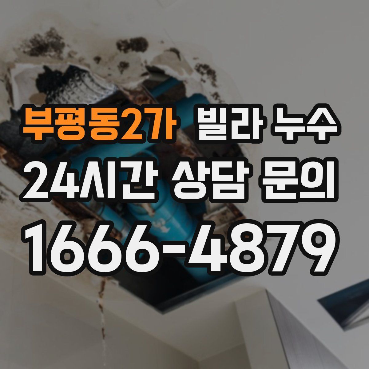 부평동2가 빌라 누수