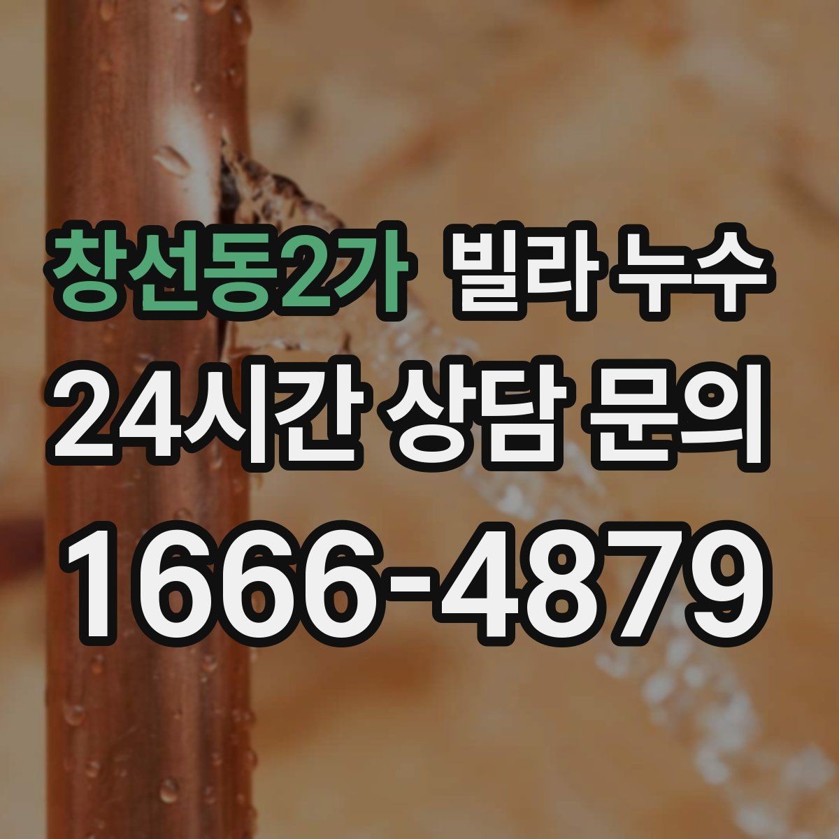 창선동2가 빌라 누수 곰팡이가 번지기 전 빠른 대응이 필요합니다