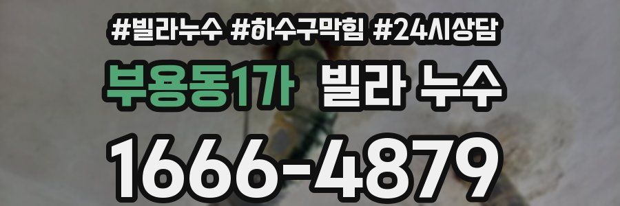 부용동1가 빌라 누수