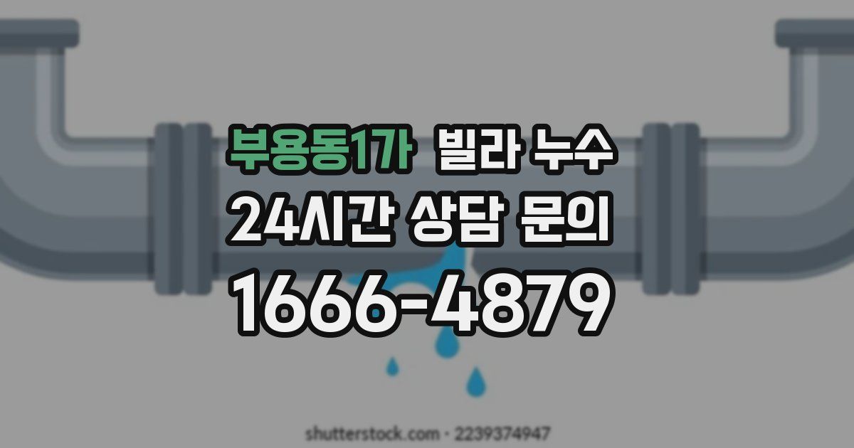 부용동1가 빌라 누수