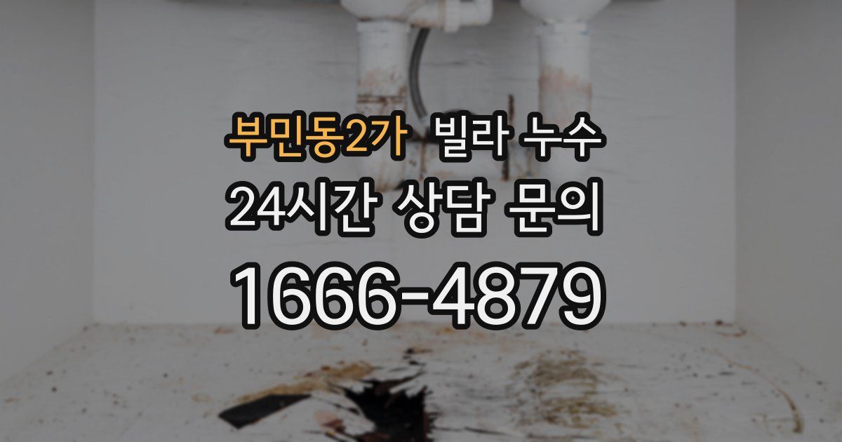 부민동2가 빌라 누수