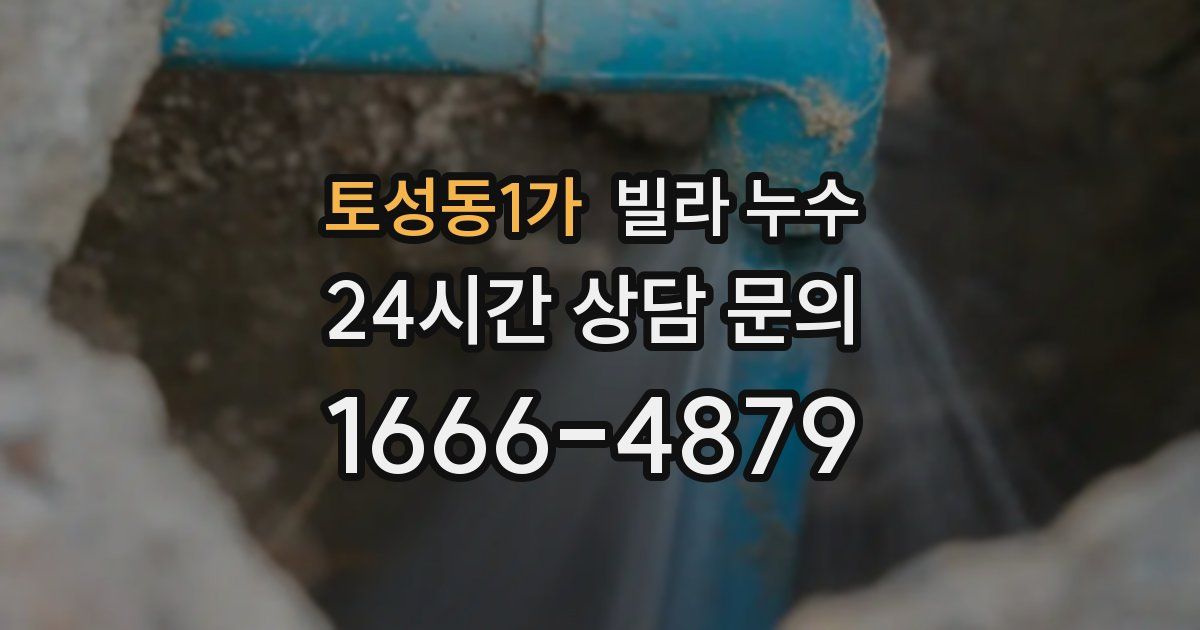 토성동1가 빌라 누수