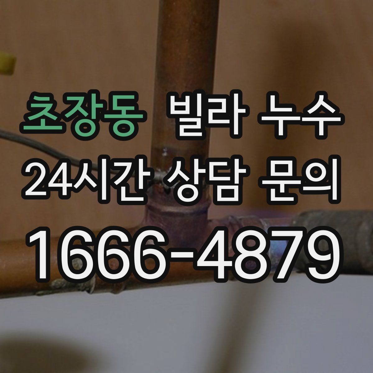 초장동 빌라 누수