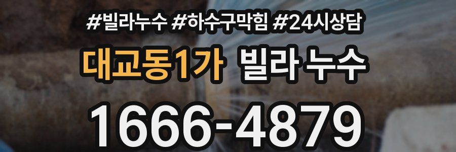 대교동1가 빌라 누수