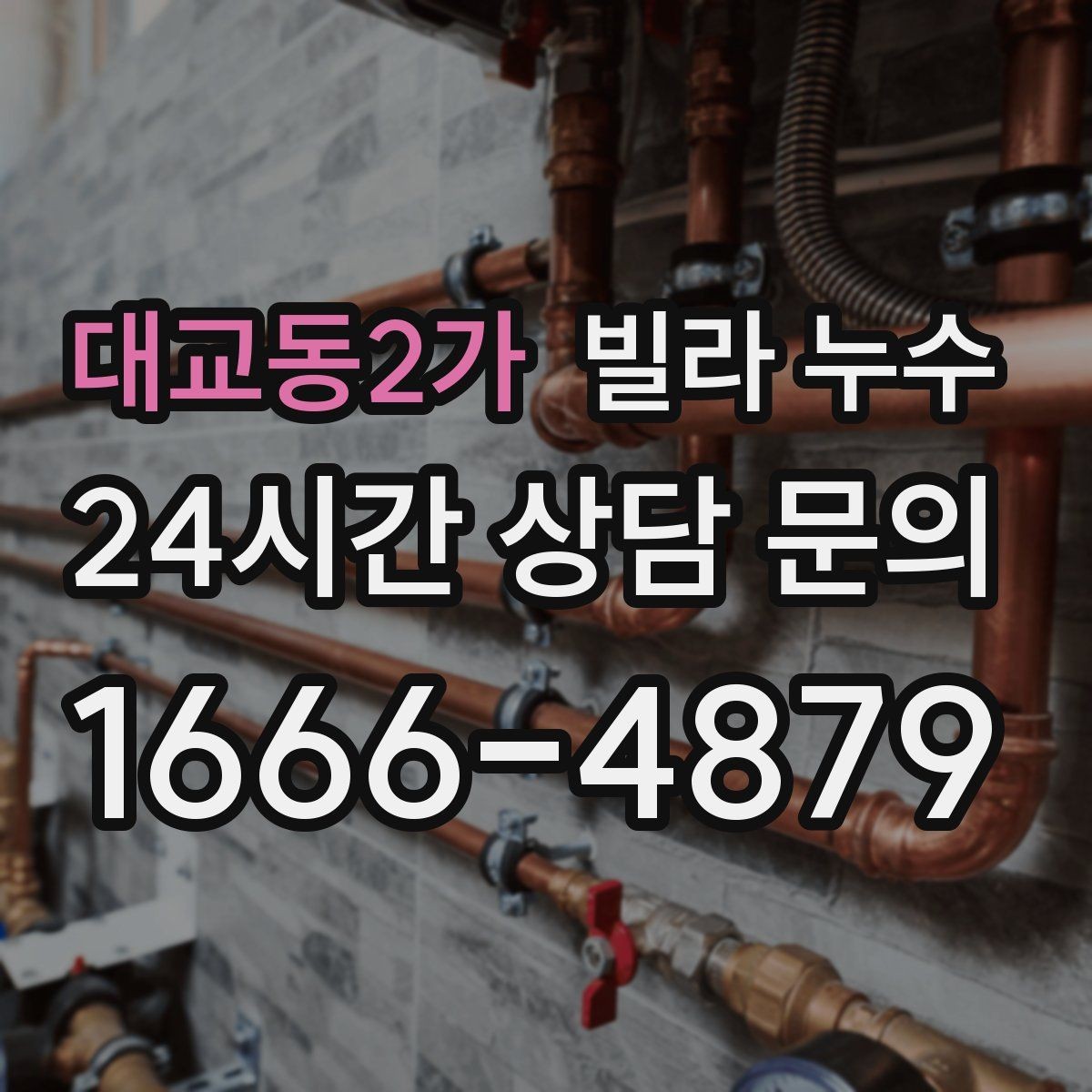 대교동2가 빌라 누수 샤워 후 바닥 물빠짐이 느리면 위험 신호