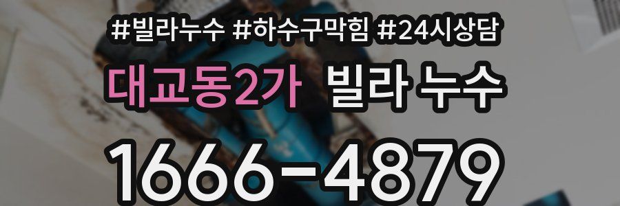 대교동2가 빌라 누수