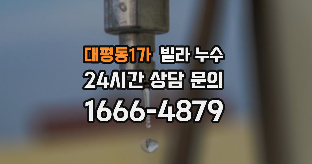 대평동1가 빌라 누수