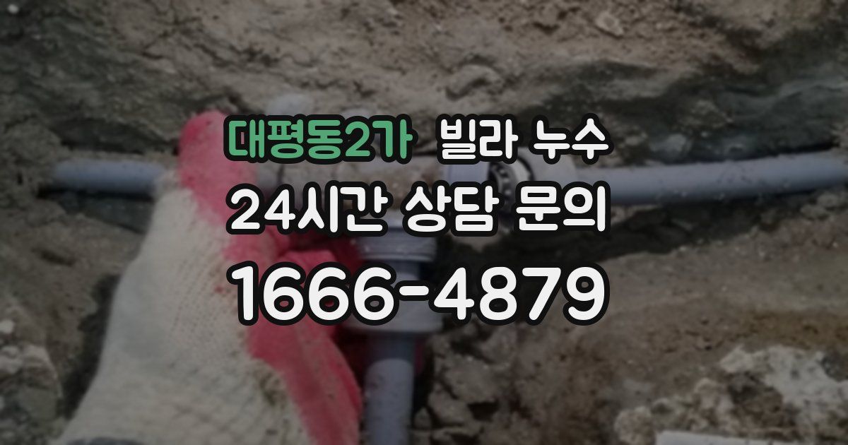 대평동2가 빌라 누수