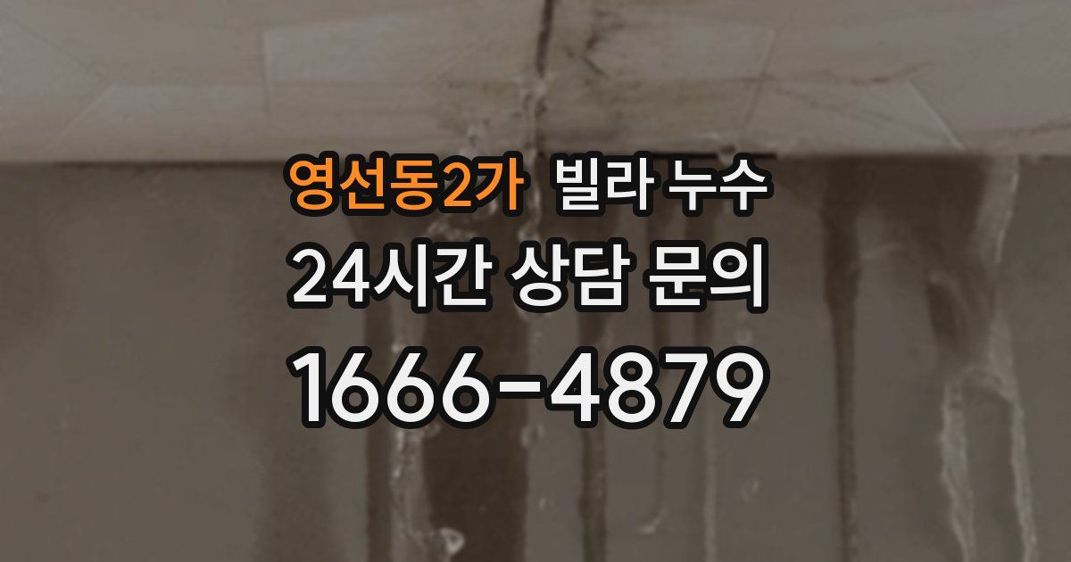 영선동2가 빌라 누수