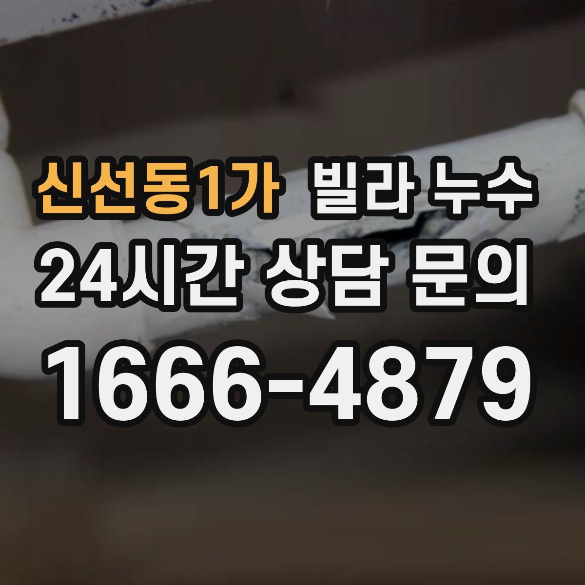 신선동1가 빌라 누수