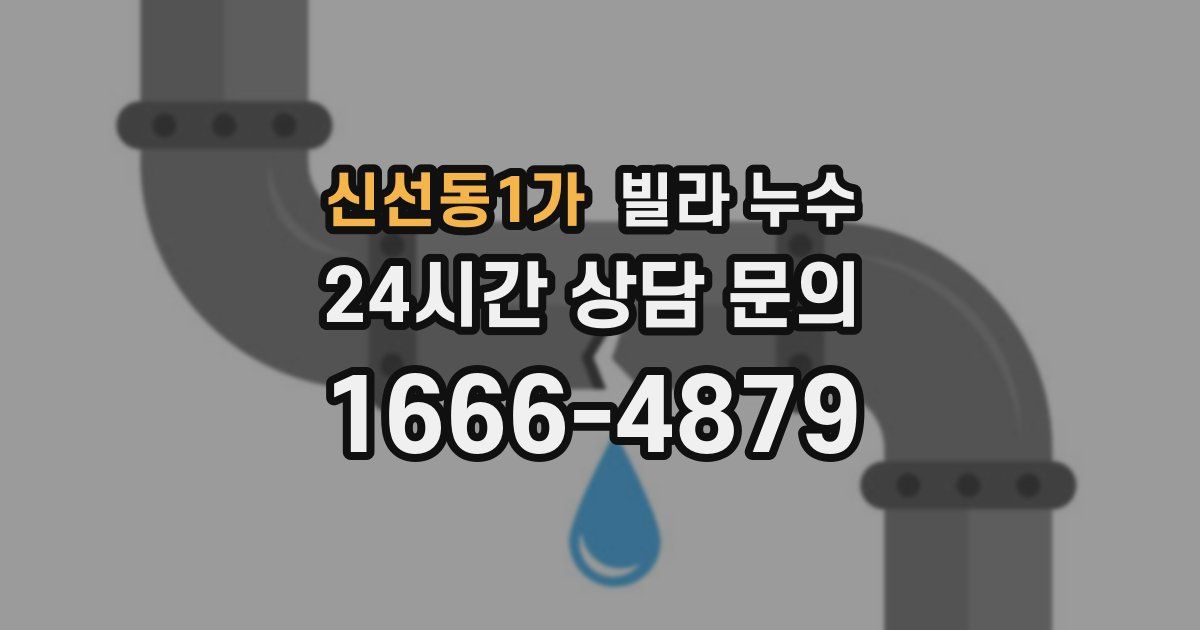 신선동1가 빌라 누수