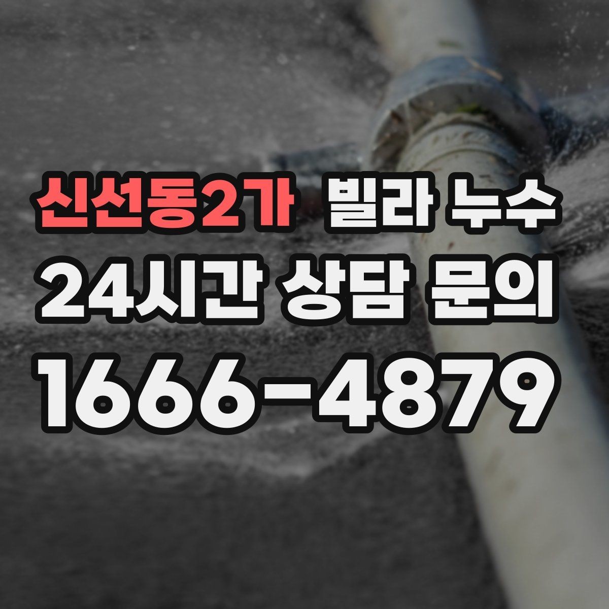 신선동2가 빌라 누수 물이 떨어지는 곳과 원인 지점이 다른 이유