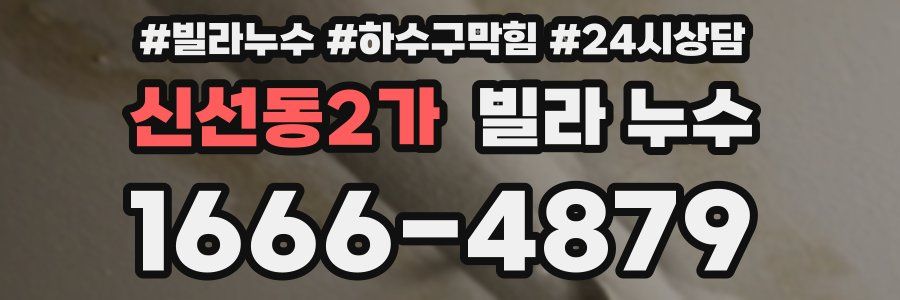 신선동2가 빌라 누수