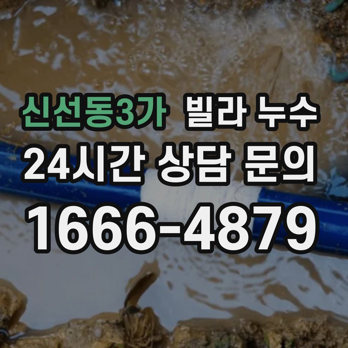 신선동3가 빌라 누수 물자국이 이동하는 것처럼 보일 때