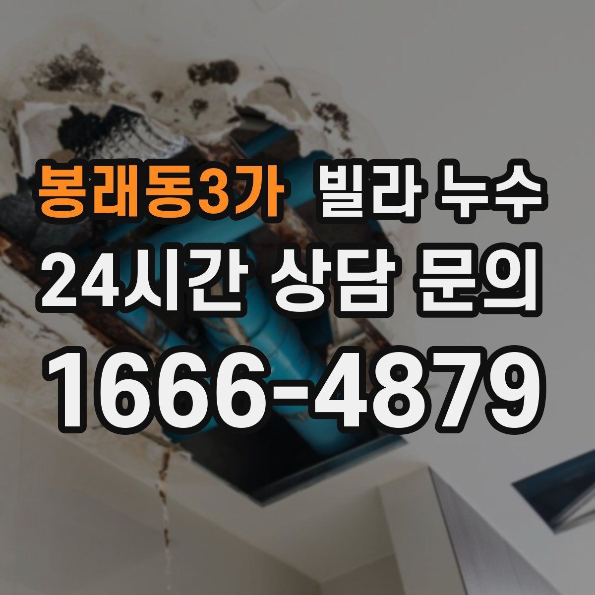 봉래동3가 빌라 누수 욕실 타일 사이 물스밈이 늘었다면