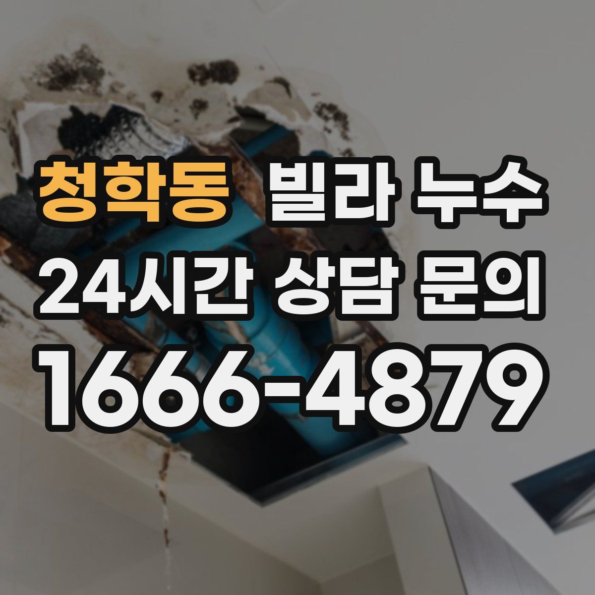 청학동 빌라 누수