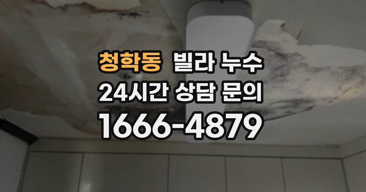 청학동 빌라 누수