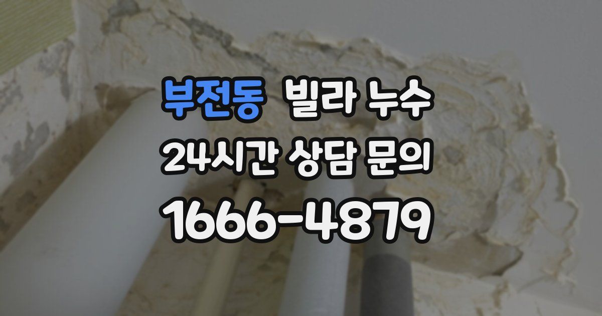 부전동 빌라 누수