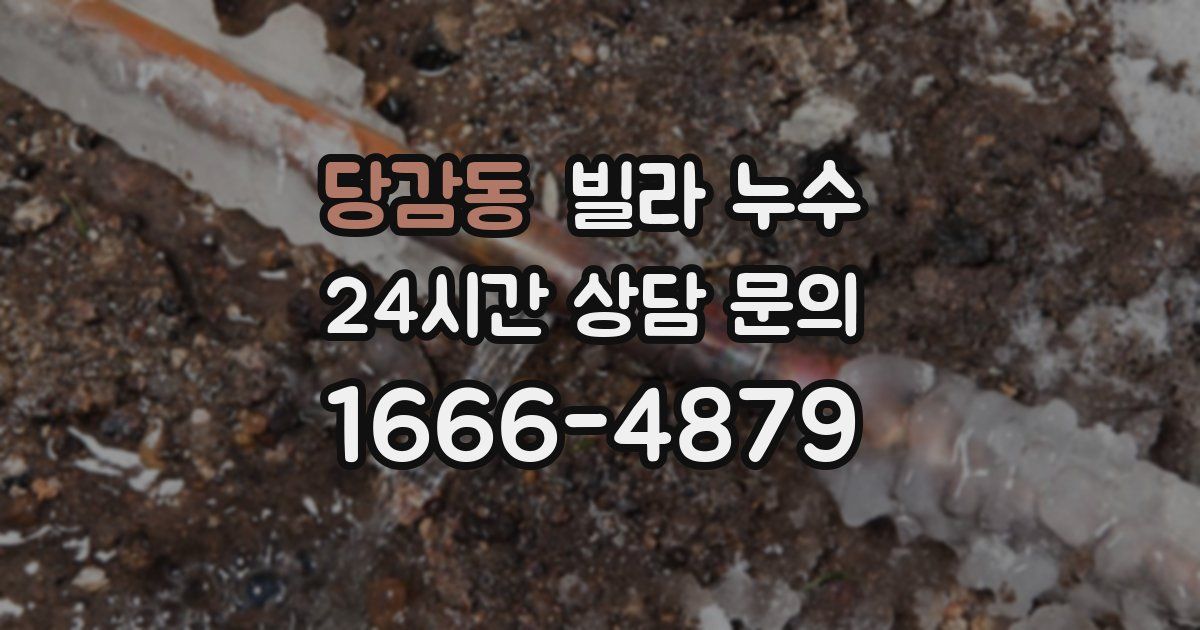 당감동 빌라 누수