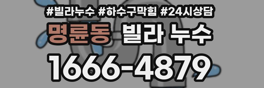 명륜동 빌라 누수