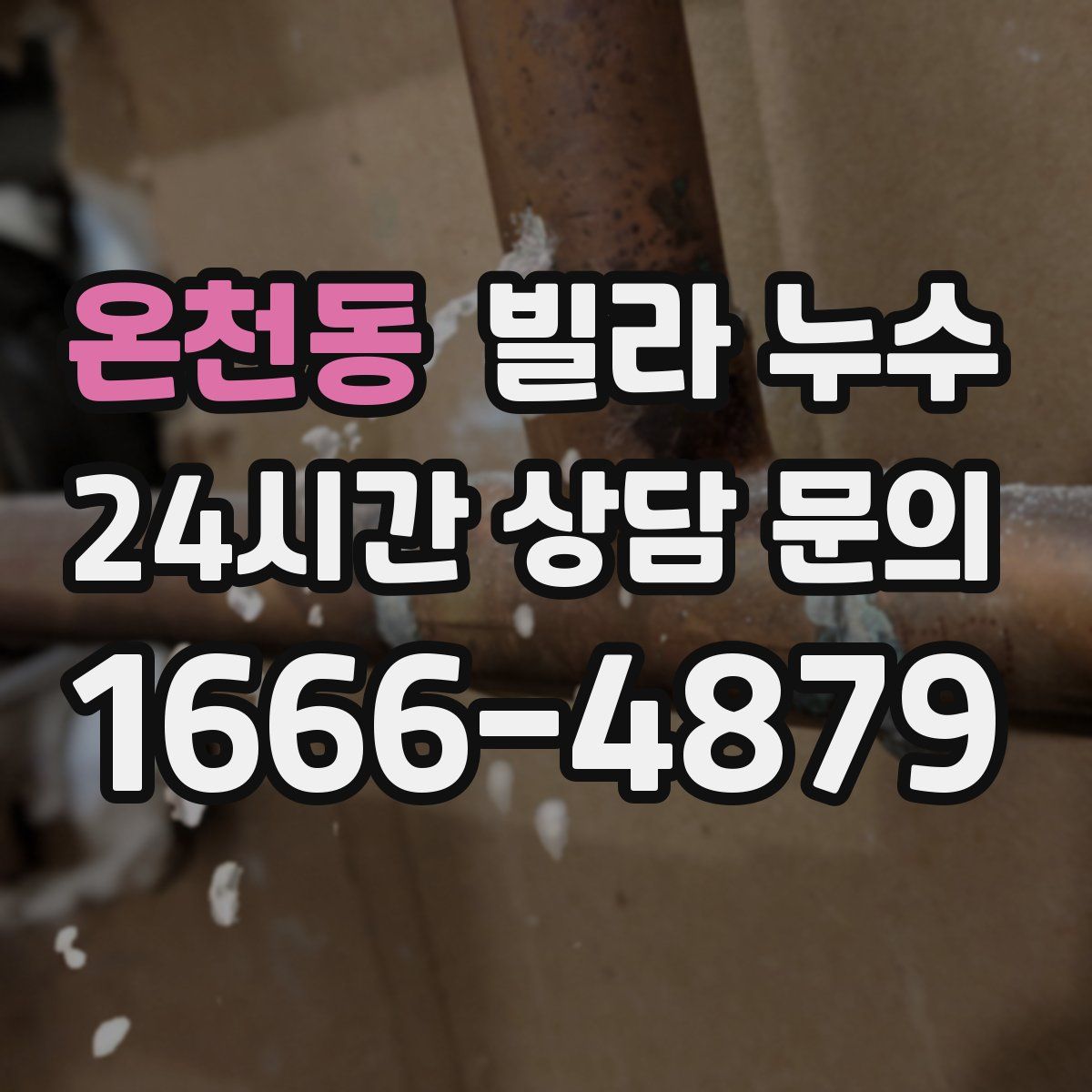 온천동 빌라 누수