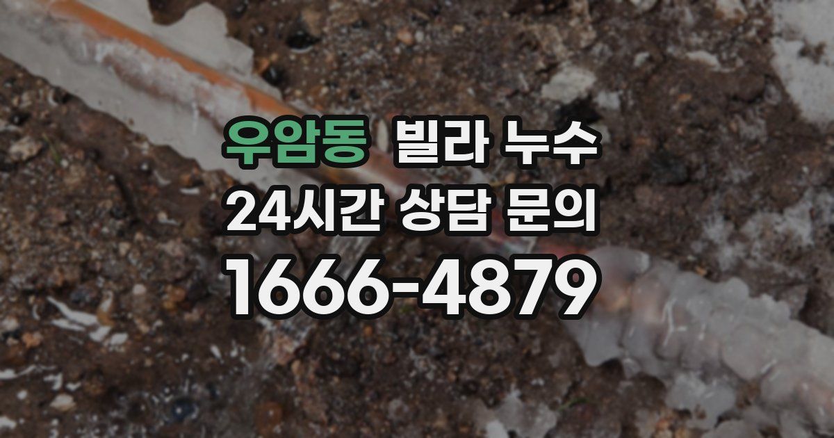 우암동 빌라 누수