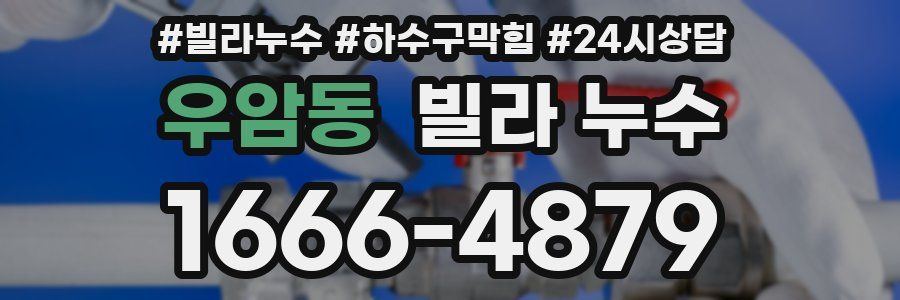 우암동 빌라 누수