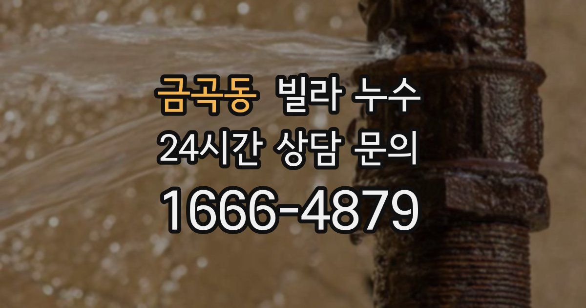 금곡동 빌라 누수