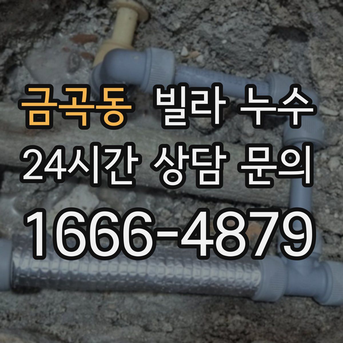 금곡동 빌라 누수