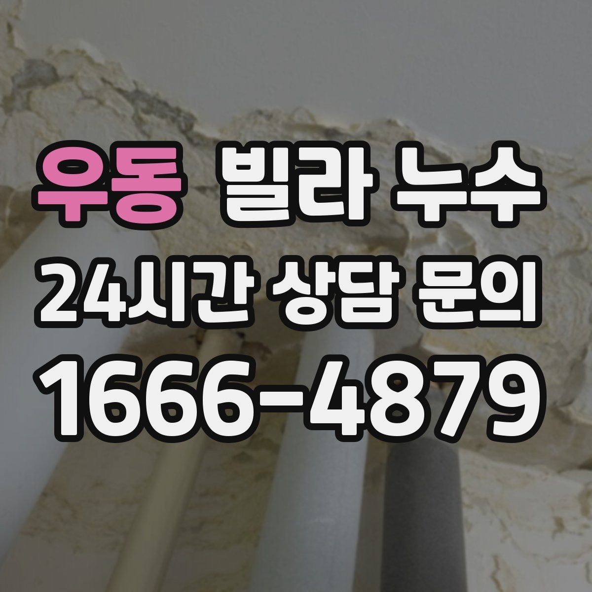 우동 빌라 누수 벽지 들뜸이 심해지기 전에 해야 할 것