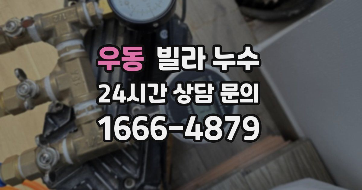 우동 빌라 누수