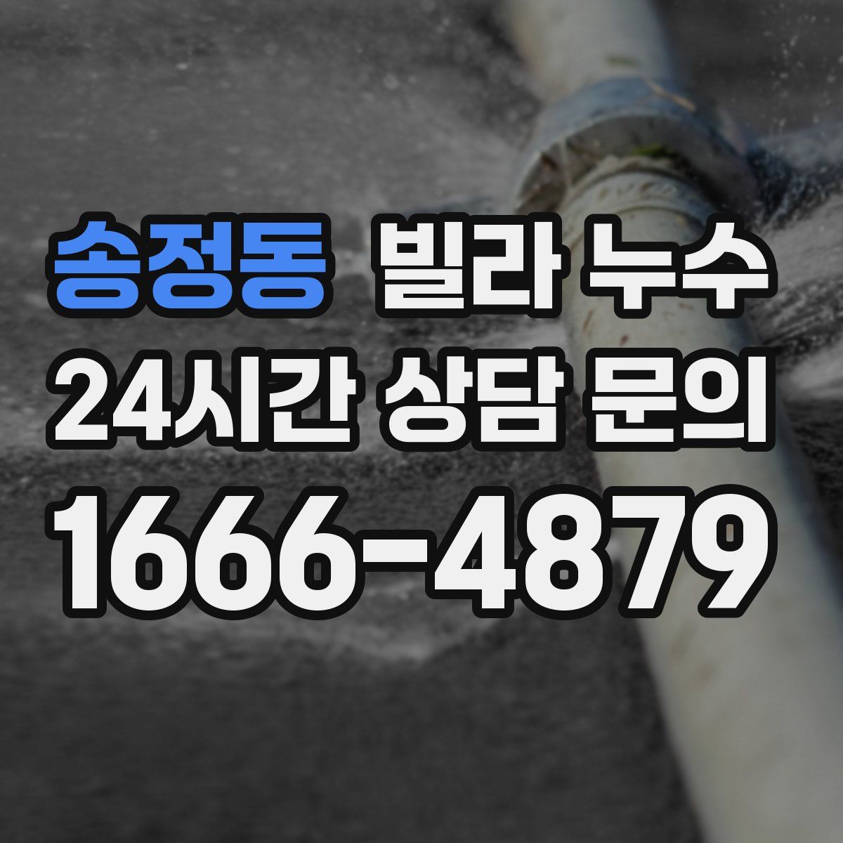 송정동 빌라 누수