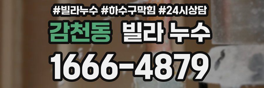 감천동 빌라 누수