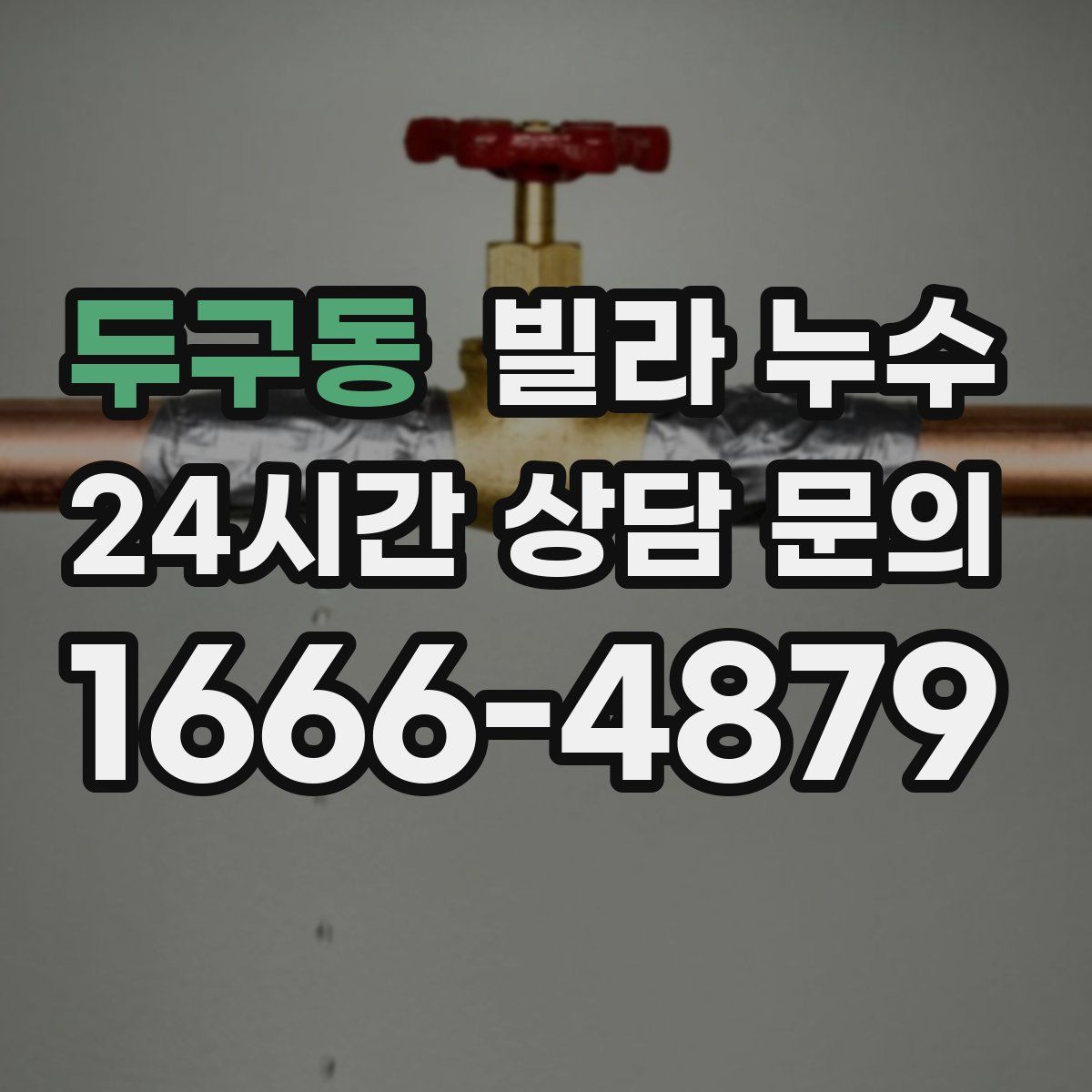 두구동 빌라 누수