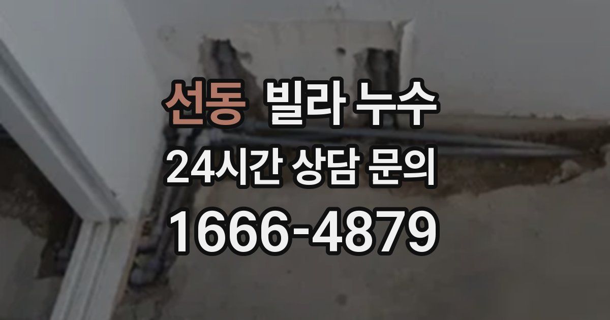 선동 빌라 누수