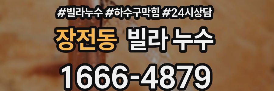 장전동 빌라 누수
