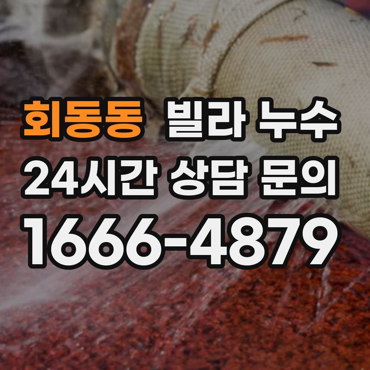 회동동 빌라 누수