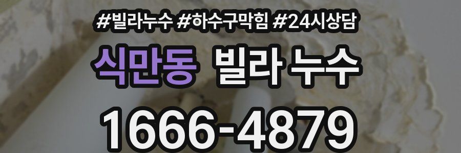 식만동 빌라 누수