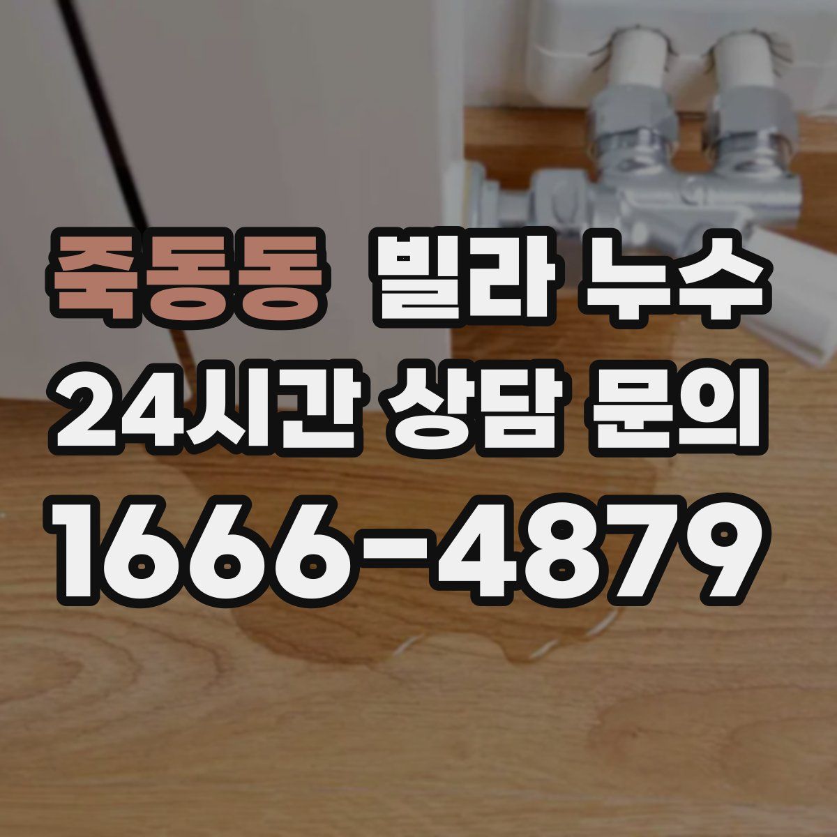 죽동동 빌라 누수