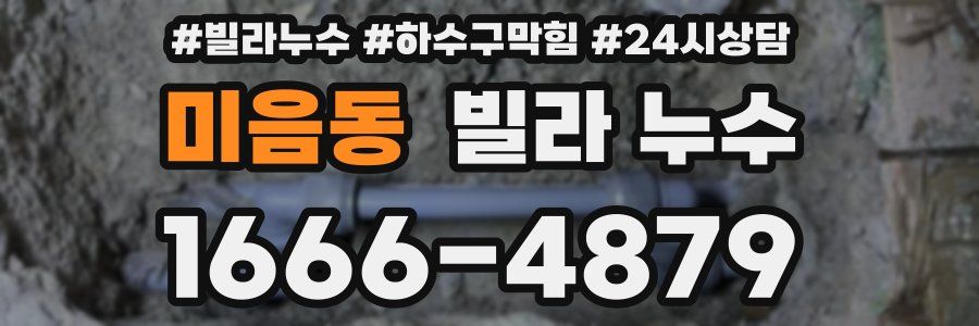 미음동 빌라 누수