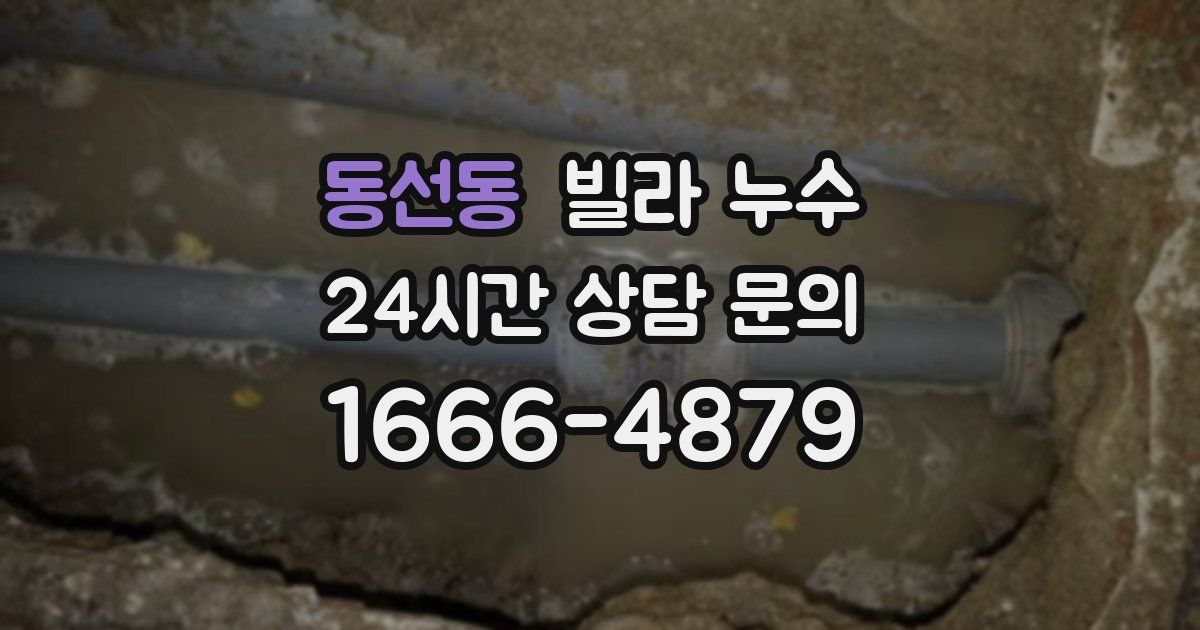 동선동 빌라 누수