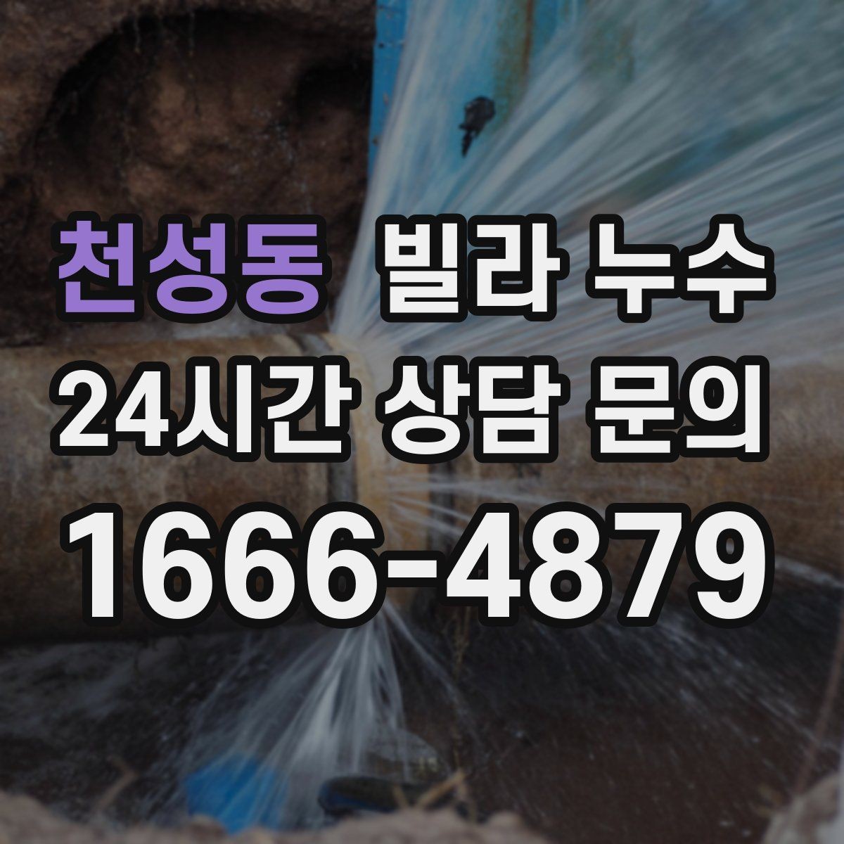 천성동 빌라 누수 세탁기 호스 주변 누수로 바닥이 젖는 경우