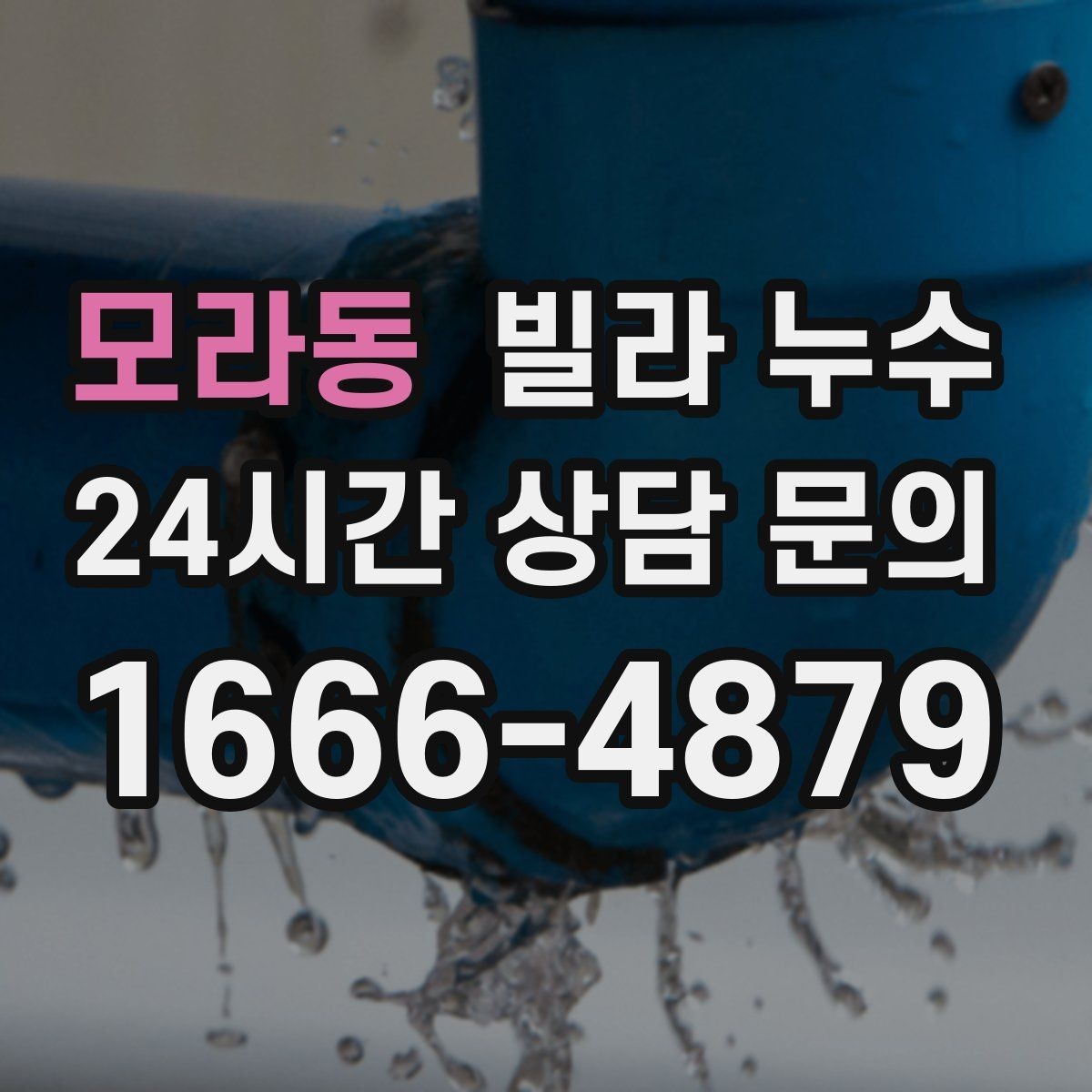 모라동 빌라 누수 세탁실 배수구가 넘치면 누수처럼 보일 수 있어요