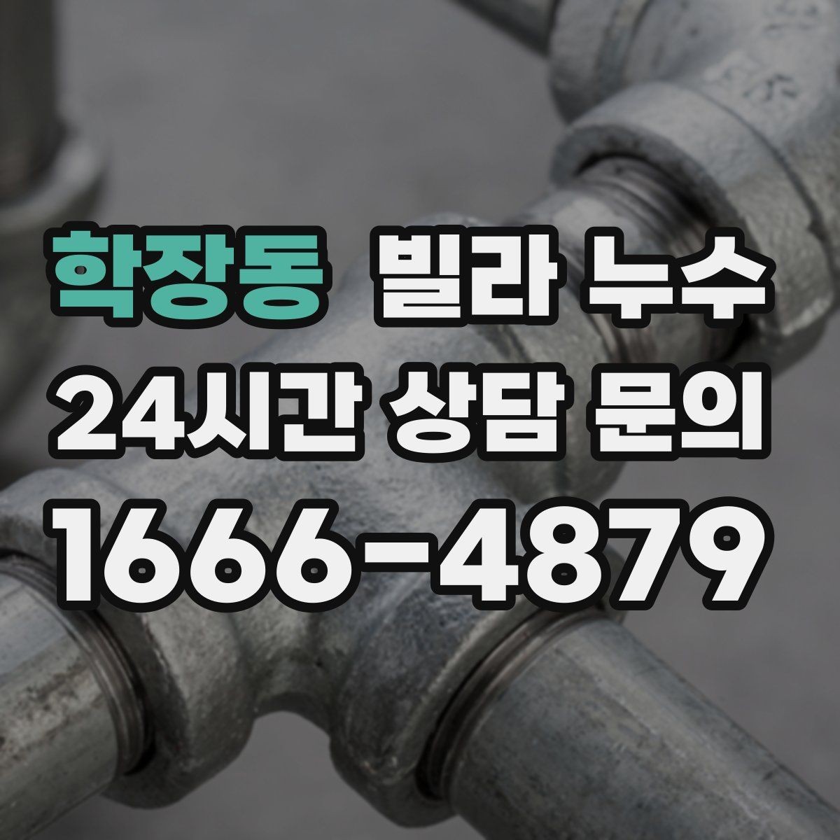 학장동 빌라 누수 설비 교체 후 물샘이 생기면 확인할 것
