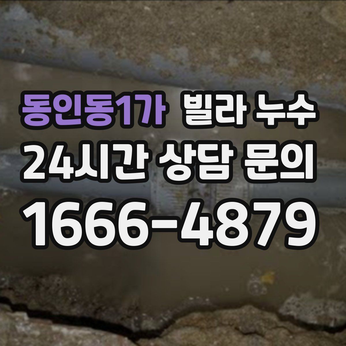 동인동1가 빌라 누수 배수관 문제로 벽이 젖는 경우 정리