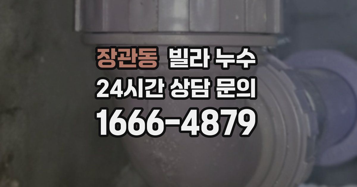 장관동 빌라 누수