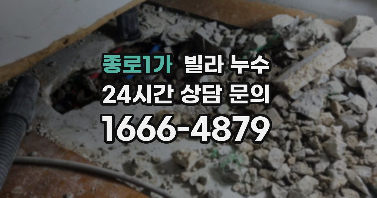 종로1가 빌라 누수