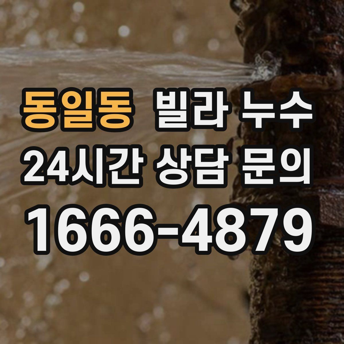 동일동 빌라 누수 욕실 바닥 물고임이 줄지 않으면 위험 신호
