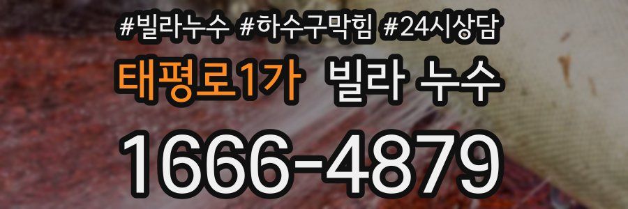 태평로1가 빌라 누수